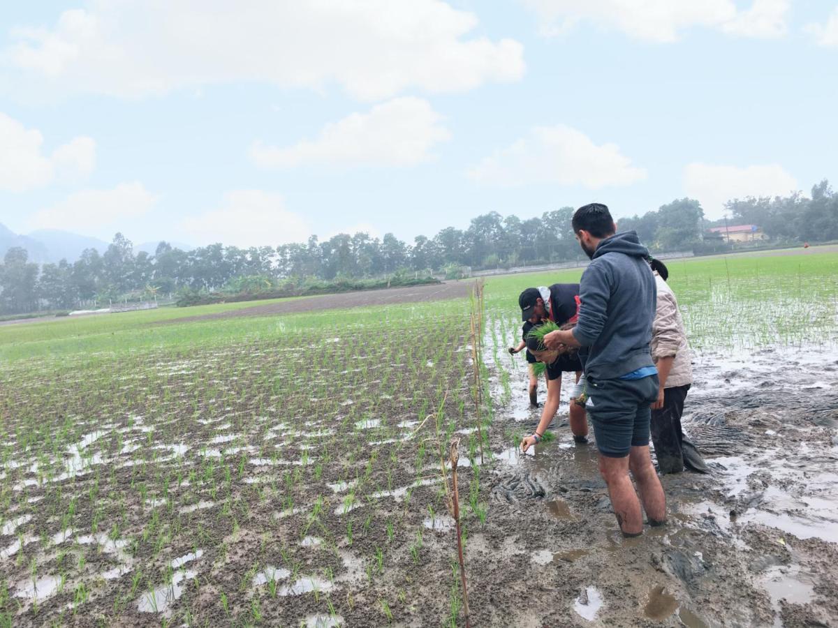 Nam Nhung Tam Coc Homestay Ninh Binh Luaran gambar